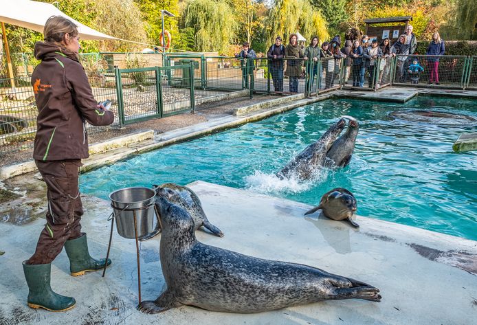 Een verzorgster in een dierentuin, foto ter illustratie. Dierverzorgers (opleidingsniveau: mbo) hebben slechte baankansen.