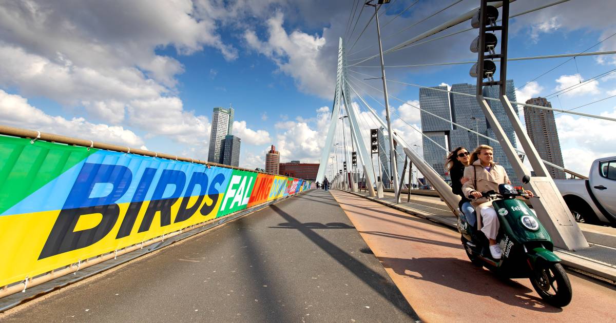 Programma: Rotterdam pakt uit voor het songfestival ...