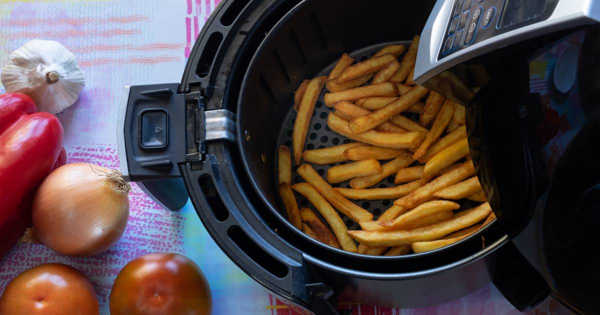 Soepel wrijving Onbevredigend De lekkerste patat uit de airfryer? Hier moet je op letten | Koken & Eten |  AD.nl