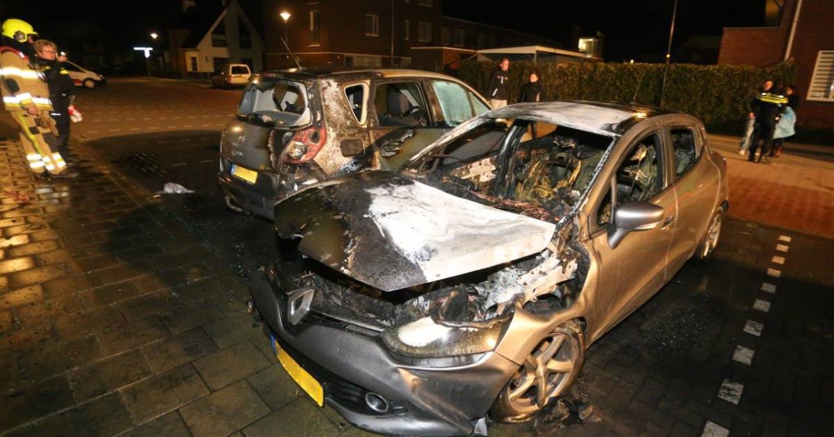 Twee auto's verwoest door brand in Zaltbommel Bommelerwaard bd.nl
