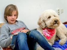 Is schoolhond uit Hengelo de leukste van Nederland? ‘Pieter oordeelt niet’