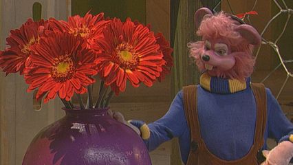 63. De Bloemen van Willy