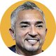 De mensen: Cesar Milan, Matteo Messina Denaro en Regi