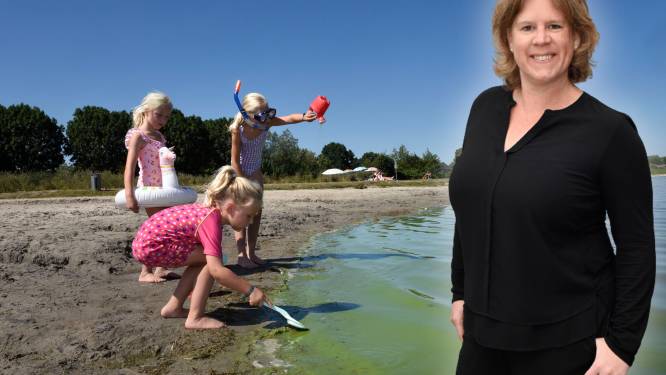 33.000 zonnepanelen op de Cattenbroekerplas: hoe durf je het überhaupt voor te stellen?