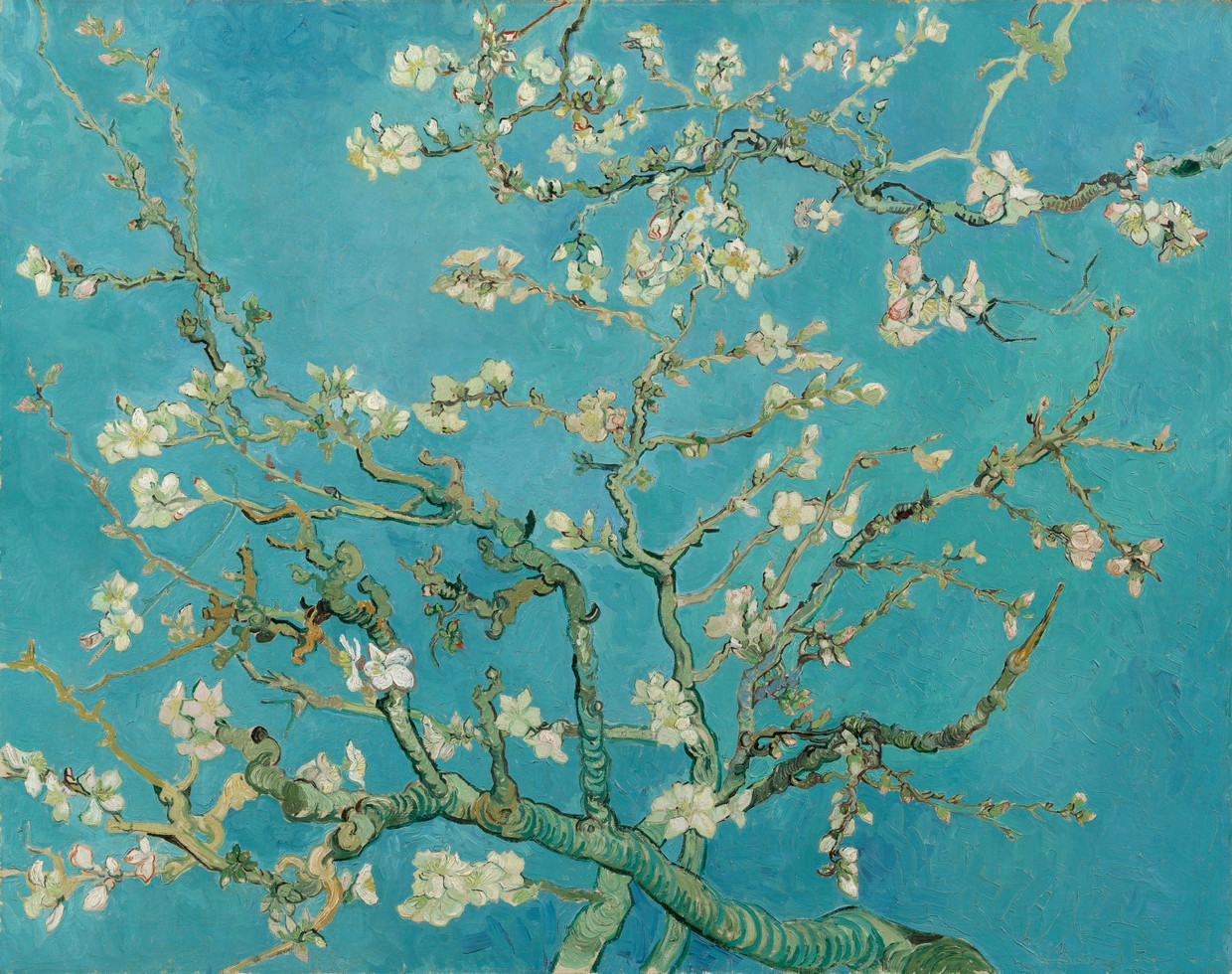 Vincent van Gogh schilderde zijn 'Amandelbloesem' in 1890 naar aanleiding van de geboorte van zijn neefje, Vincent Willem. Beeld  Vincent van Gogh Stichting