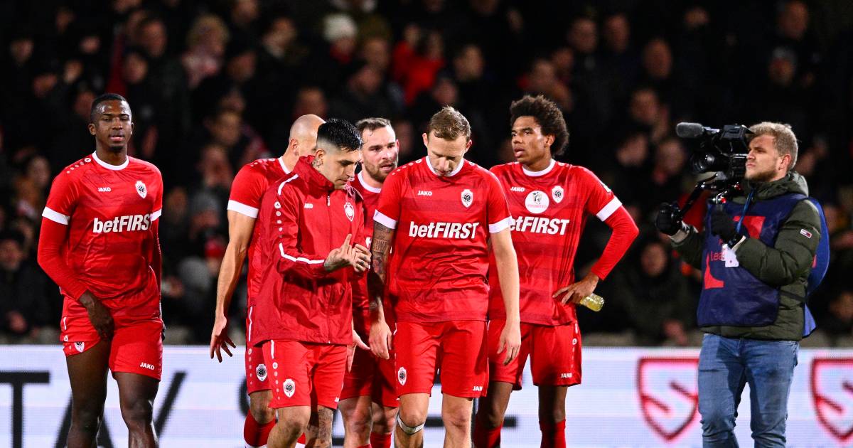 Anche Anversa perde punti: Janssen e Stengs possono salvare un punto all’estremo per una visita a Westerlo |  gli sport