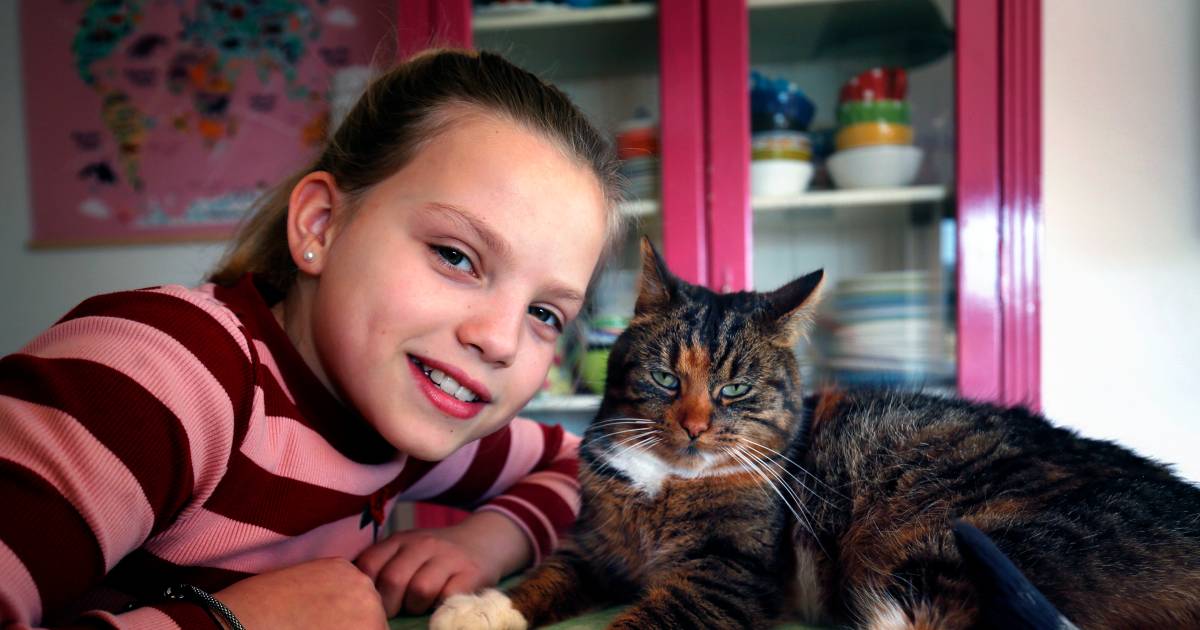 Tranen van blijdschap bij Noor (11) die lievelingskat