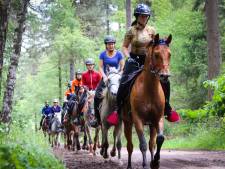 Carmen rijdt tocht van 160 kilometer met haar paard, mét pitstops