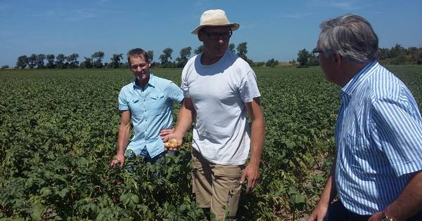 Boeren Schouwen-Duiveland willen snel betere waterhuishouding