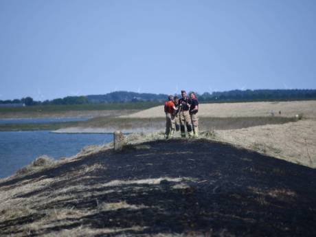 Honderd meter aan zeedijk bij Zaamslag verbrand