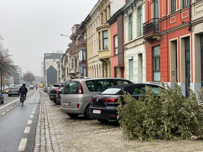 Overal sparren in Gent.