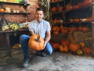INTERVIEW. Pompoenkweker Dries beleeft drukke halloweendagen: “50.000 pompoenen hebben we dit jaar geplant... en allemaal met de hand geoogst”