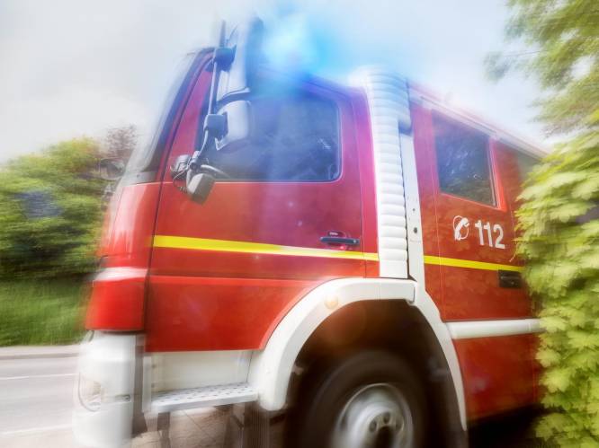 Vijf hectare bos gaat in vlammen op in La Roche “door onvoorzichtige burger”