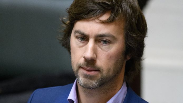 Wouter De Vriendt, Groen