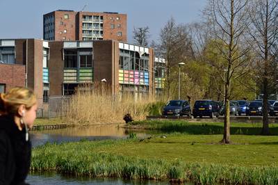 Jongerenwoningen lopen vertraging op: sloop oud schoolgebouw is uitgesteld om vleermuizen