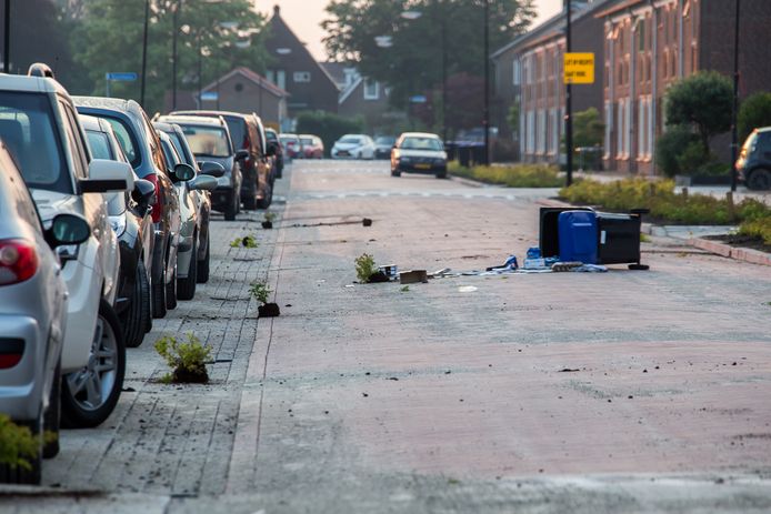 De planten op het wegdek van de Heulweg