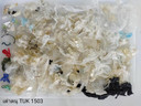 Het plastic dat uit de darmen van het dier kwam. In totaal werden er 158 stukjes afval gevonden.