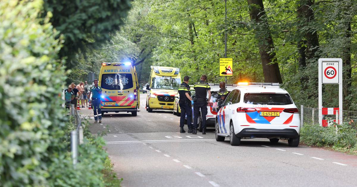 Trekkerbestuurder dodelijk ongeluk Wapenveld: ‘Ik heb de fietser niet geraakt en ben niet doorgereden’.