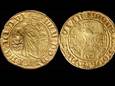 De Goese huisarts en amateurarcheoloog Hilderik van Schaik vond in 2016 met zijn metaaldetector twee St Jans goudguldens van Hendrik van Brederode uit 1574.