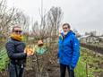 Bianca en Tarcy hopen een oud Grembergs appelras weer tot leven te wekken op de site van de volkstuintjes aan de Karel Eeckhoutstraat.