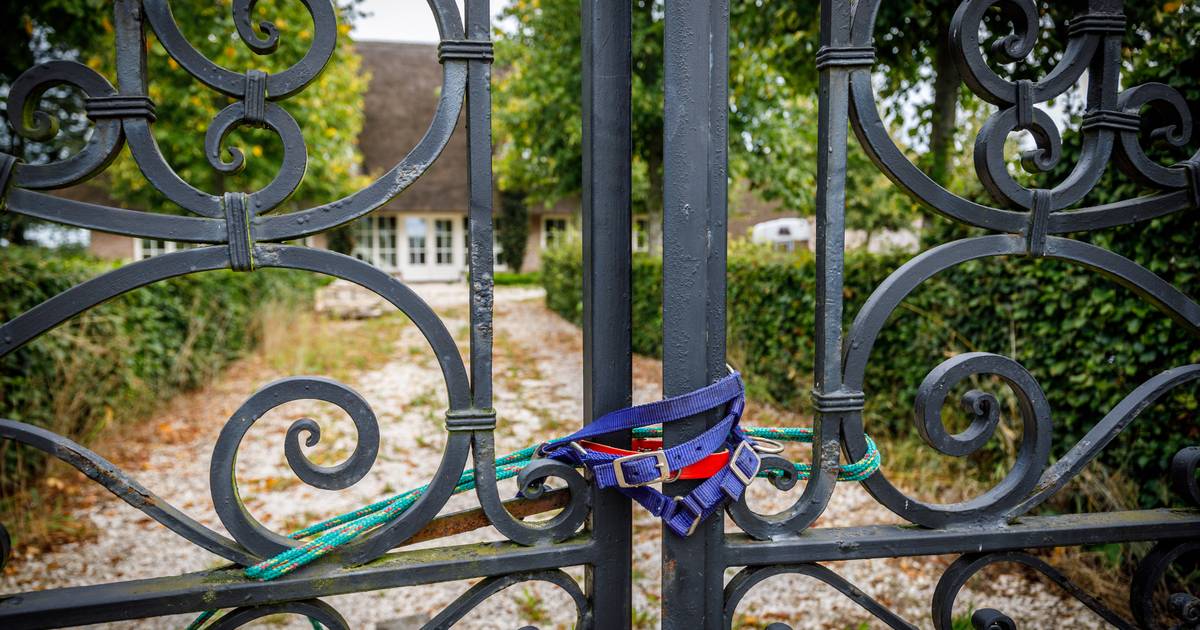 Advocaat gedupeerden wil schikken met oprichter Dream or Donate: nog geen juridische stappen