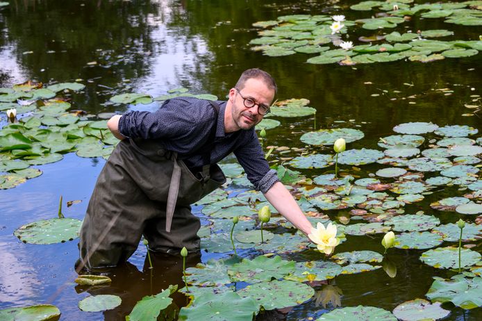 Directeur Bram Rammeloo vorig jaar bij een van de lotusbloemen in de vijver.