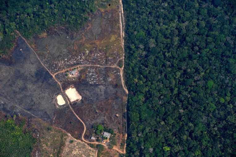 Een platgebrand deel van het Amazonewoud in Brazilië. Beeld AFP