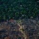 Opinie: Belasting op vlees is hoognodig om biodiversiteit op aarde te redden