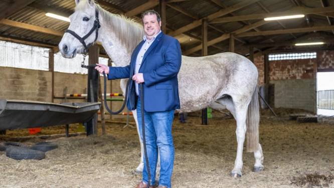 Sint-Niklaas zet opmerkelijke kandidaat in bij Vlaams kampioenschap Tegelwippen: “Paard van Sinterklaas verlangt naar een groene weide”
