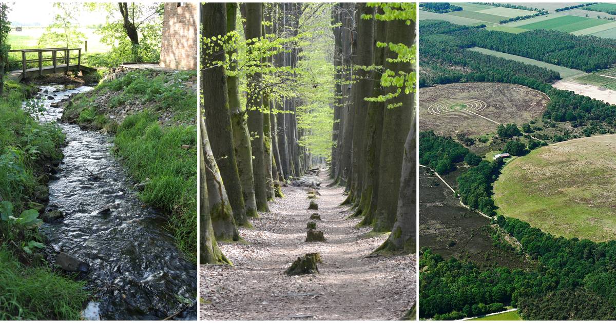Mander: lopen in cirkels, over de Galgenberg en door het dal - Tubantia