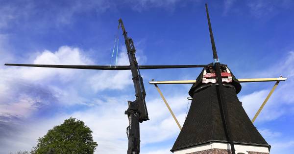 Hapse Mariamolen een paar maanden vleugellam