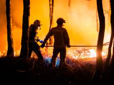 Staatsbosbeheer vermoedt dat grootste natuurbrand van Nederland is aangestoken en doet aangifte