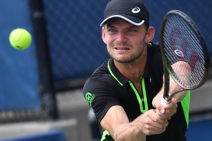 David Goffin.