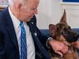 De Amerikaanse president Joe Biden en zijn hond Commander.