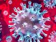 Aantal besmettingen coronavirus in Waddinxveen loopt verder op