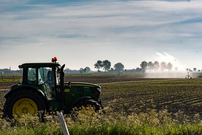 Droogte in de landbouw.