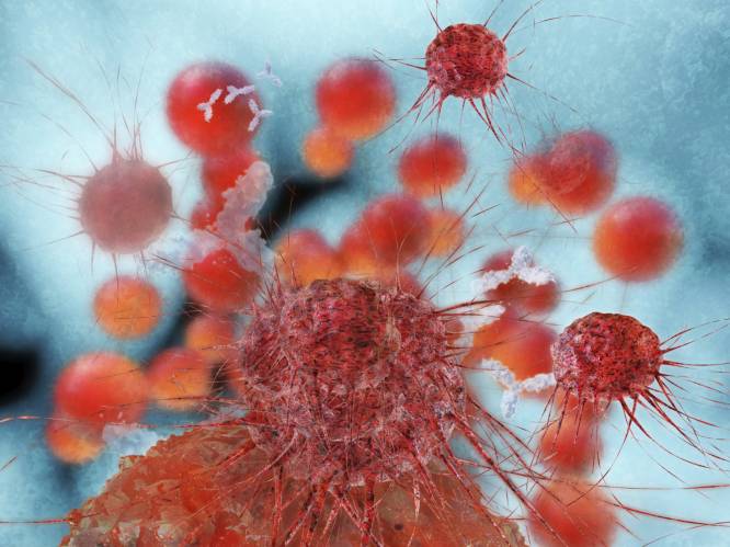 Doorbraak in onderzoek naar uitgezaaide kankers dankzij Belgische wetenschappers