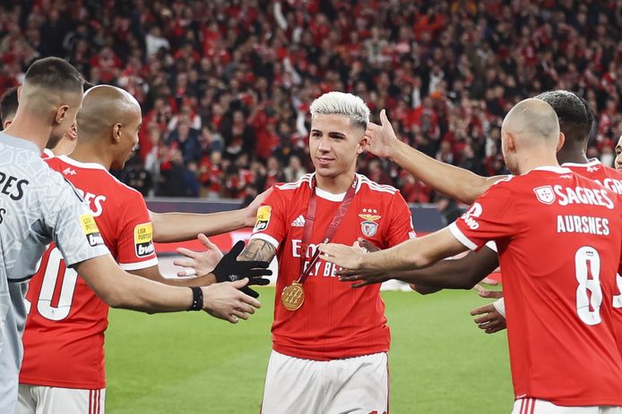 Wereldkampioen Enzo Fernández stapt over van Benfica naar Chelsea.