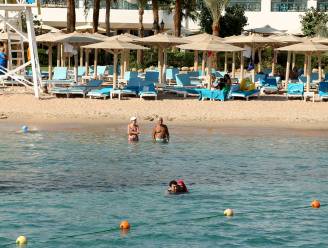 Haaienaanval Egypte: gewonde Oostenrijkse (68) bereikt strand, maar overlijdt in ambulance