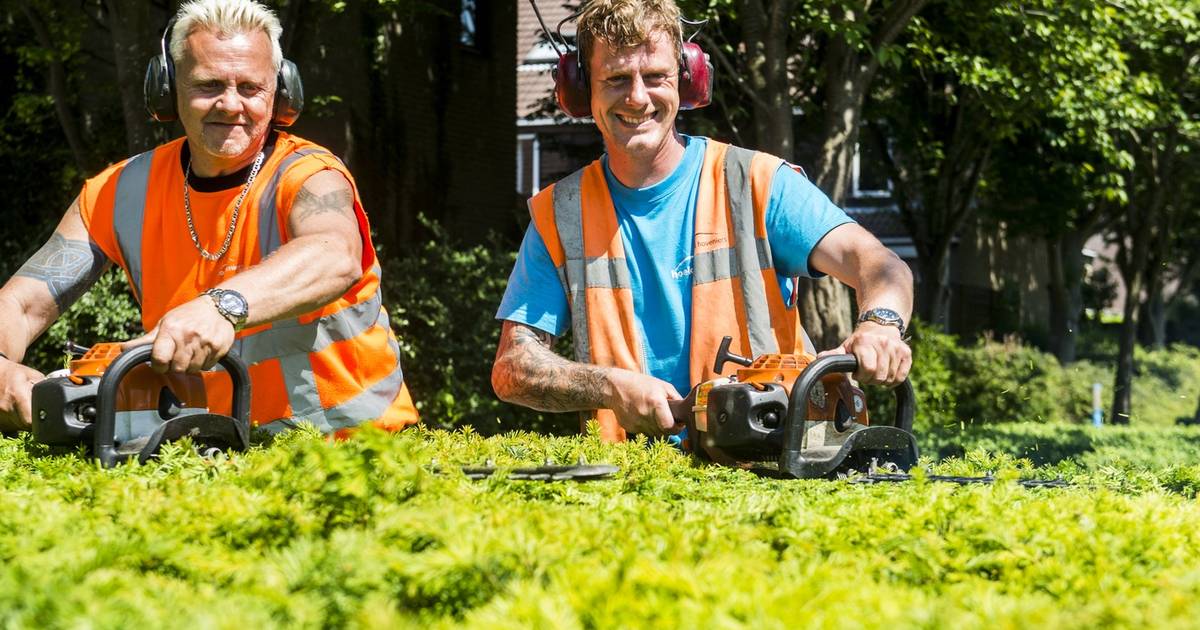 Taxus snoeien voor betaalbare chemotherapie