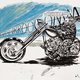 Raymond Pettibon port in Amerika's zere plekken