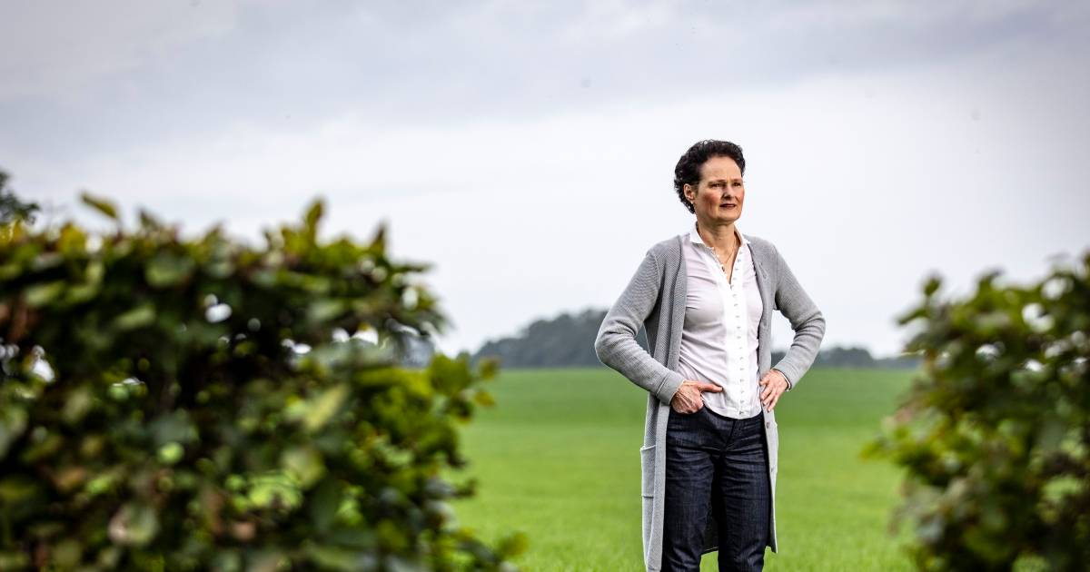 Alice (59) probeert levens te redden in Oeganda, al is dat niet zo simpel: ‘Blanken vinden ze daar m