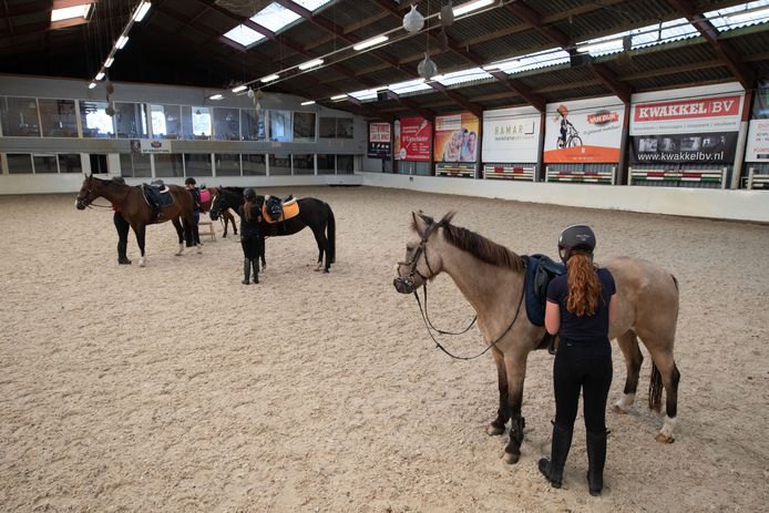 In de manege van Stichting Hippisch Centrum Kampen (HCK) aan de Zwartendijk werd afgelopen zomer de besmettelijke paardenziekte droes aangetroffen. Nu gaat het weer goed in de manege.