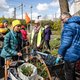 Voordat de bulldozer komt: struikrovers redden levens van planten op sloopplekken