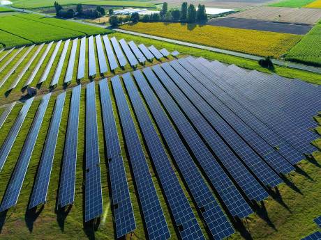 Leusden trapt vol op de rem bij aanleg zonnevelden: ‘Zorgen over effecten op natuur zijn te groot’
