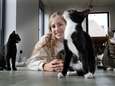 Astrid ving zelf al 27 katten op: nu zoekt ze tijdelijke baasjes voor 200 harige huisgenootjes