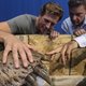 Eindelijk heeft Naturalis haar T.rex