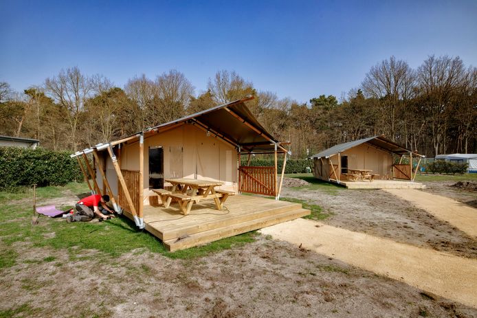 Safaritententen op camping Duinhoeve .