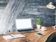 Minder ziek en minder stress? Zet eens een plant op je bureau