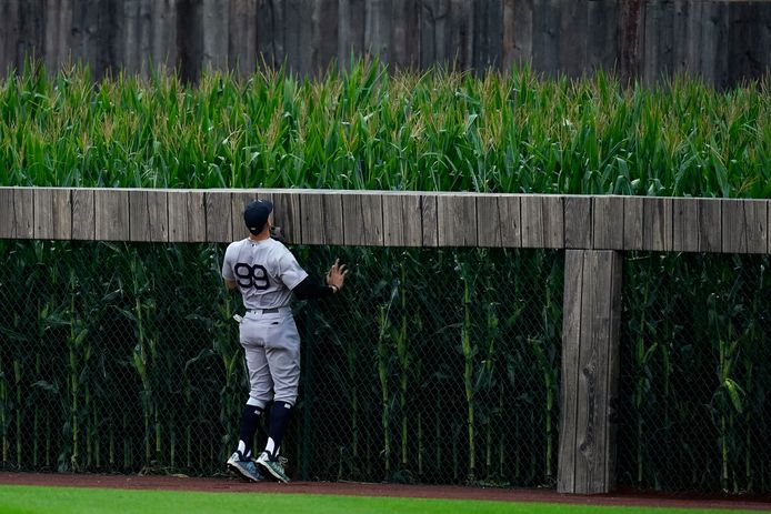 Een speler van Chicago ziet een New Yorkse homerun in het graan verdwijnen.